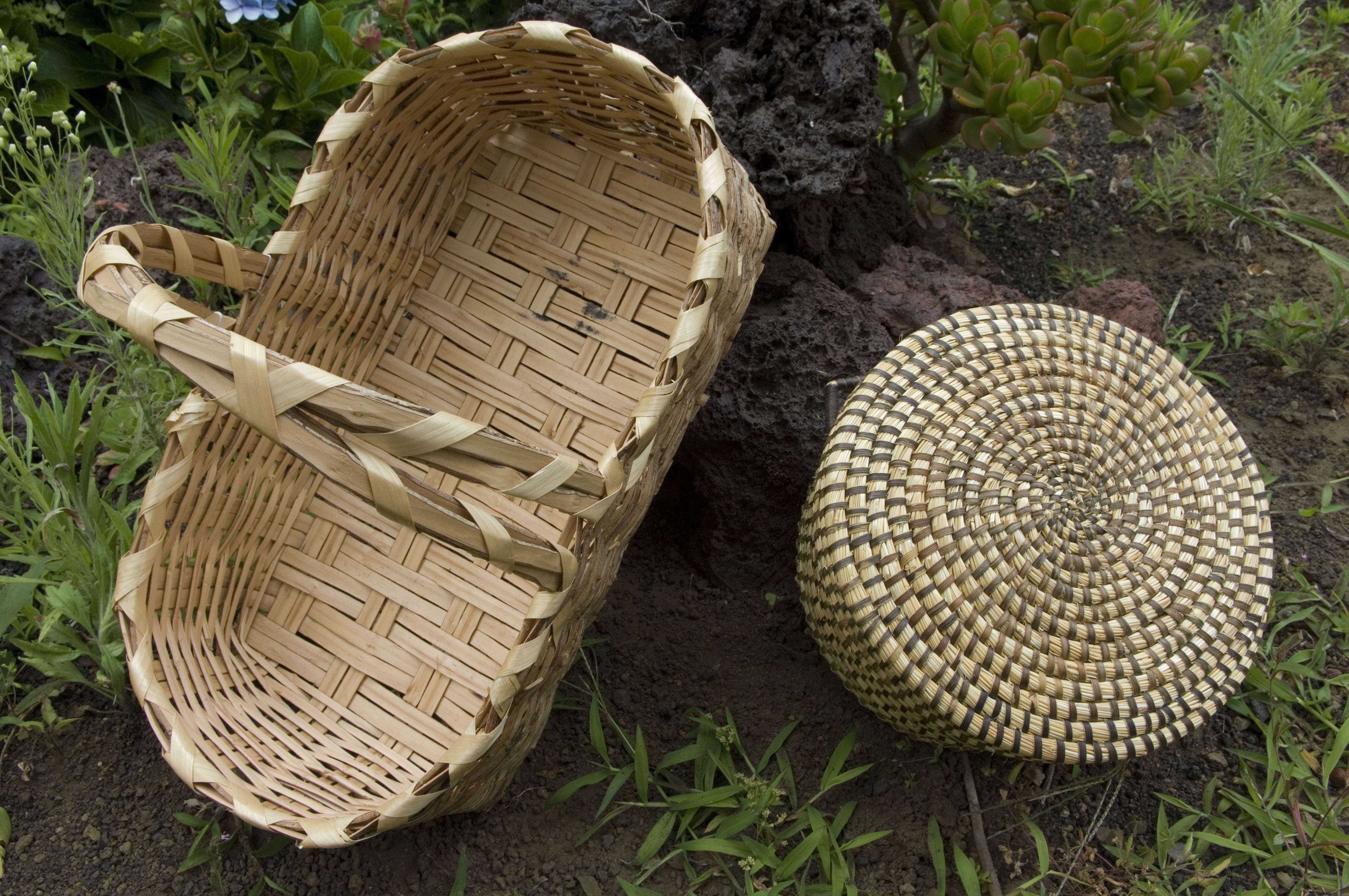 Basketry Visit La Palma