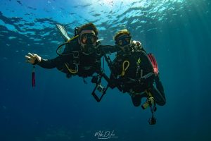 Punkfish Diving (Buceo)